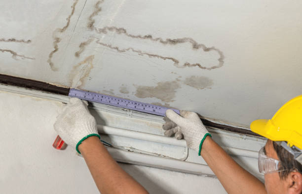 Reliable Basement Water Removal contractor in Port Hope, MI by Water Damage Irwin